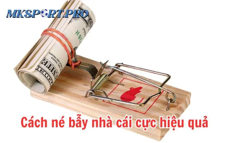 Bẫy nhà cái là gì? Bí quyết tránh bẫy trong cá độ bóng đá 